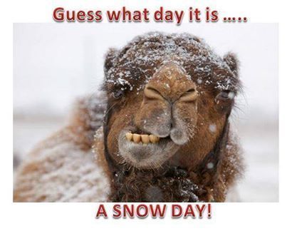 Snow Day