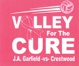 Volley For a Cure